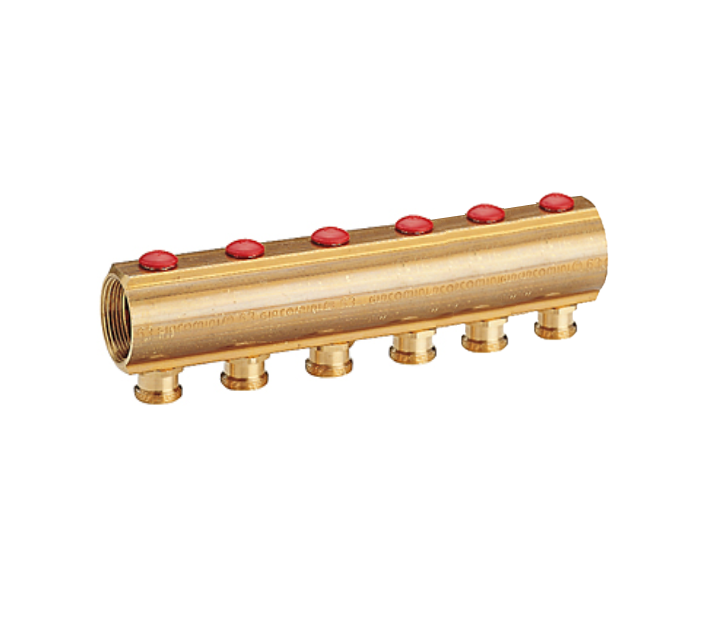 R553SY046, Коллектор с отсечными клапанами, 1" x 3/4"E /6