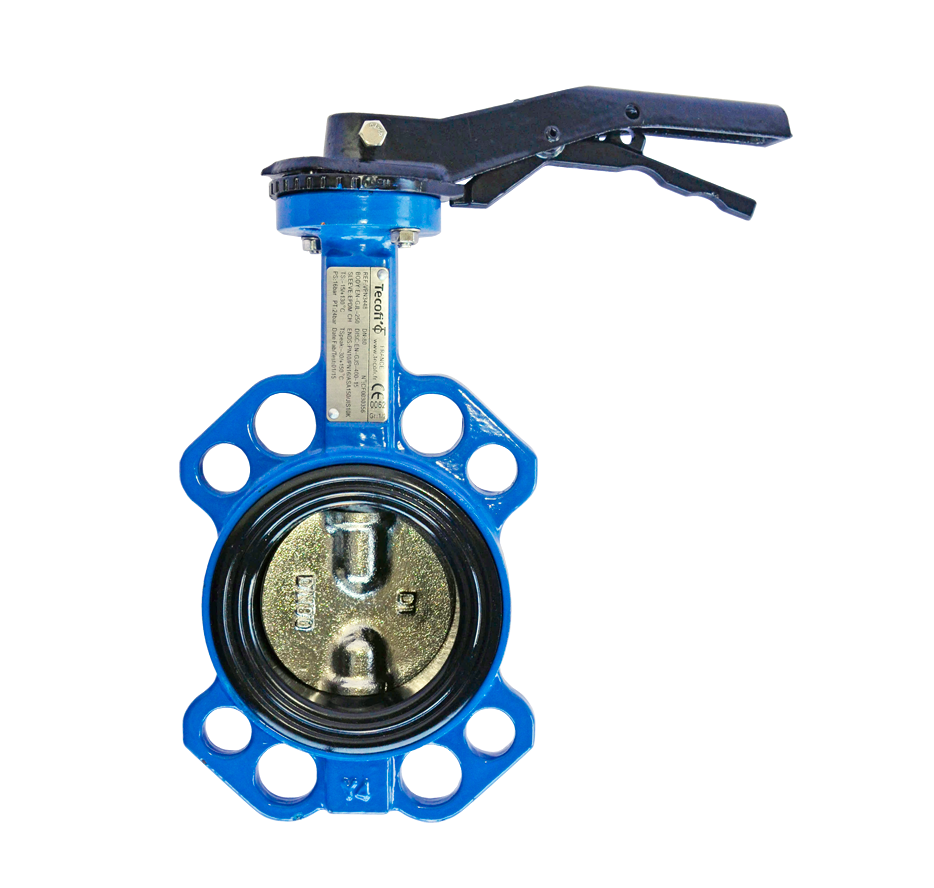 Затвор дисковый поворотный Tecofi VP5449S-02EP0065 Ду 65 Ру16 межфл...