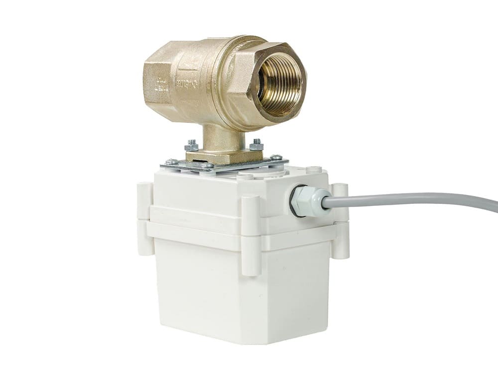 ШЭП PROFESSIONAL 220V BONOMI 1”