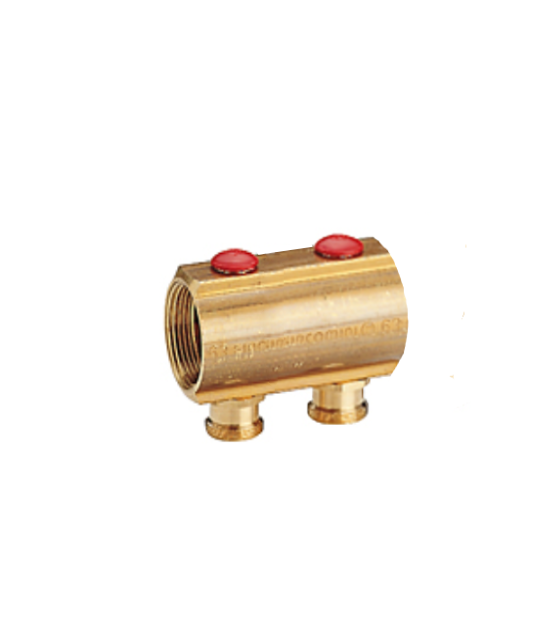 R553SY042, Коллектор с отсечными клапанами, 1" x 3/4"E /2