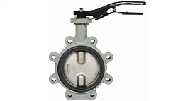 Затвор дисковый Giacomini R59FL Ду 300 Ру16 чугунный межфланцевый д...