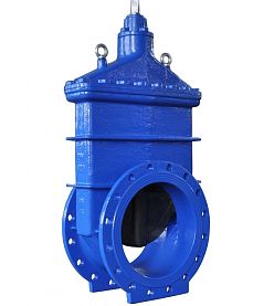 Задвижка с обрезиненным клином ZIGGIOTTO F4 RF01 DN 600 мм, PN 10/1...