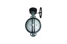 Затвор дисковый Giacomini R59WХ Ду 350 Ру16 чугунный межфланцевый д...