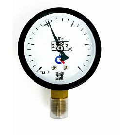 Манометр ТМ-310Р.00(0-2,5MPa)M12x1,5.2,5