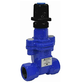 Задвижка ответвительная Benarmo, 1030W, Ду 50, чугун, обрезиненный ...