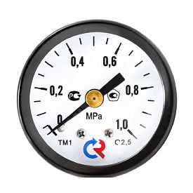 Манометр ТМ-110Т.00(0-1MPa)M10x1.2,5