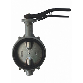 Затвор дисковый Giacomini R59WХ Ду 250 Ру16 чугунный межфланцевый д...